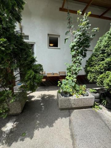 Apartmán Cozy Flat Near Tivoli Park With Free Parking Lublaň Exteriér fotografie